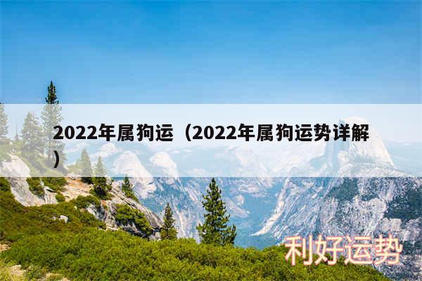 2024年属狗运以及2024年属狗运势详解