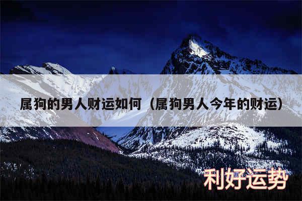 属狗的男人财运如何以及属狗男人今年的财运