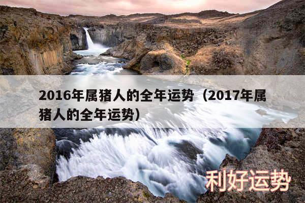 2016年属猪人的全年运势以及2017年属猪人的全年运势