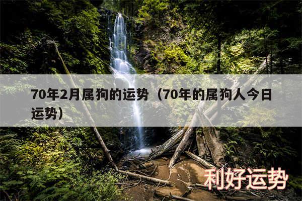 70年2月属狗的运势以及70年的属狗人今日运势