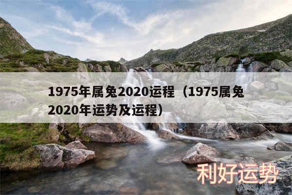 1975年属兔2020运程以及1975属兔2020年运势及运程