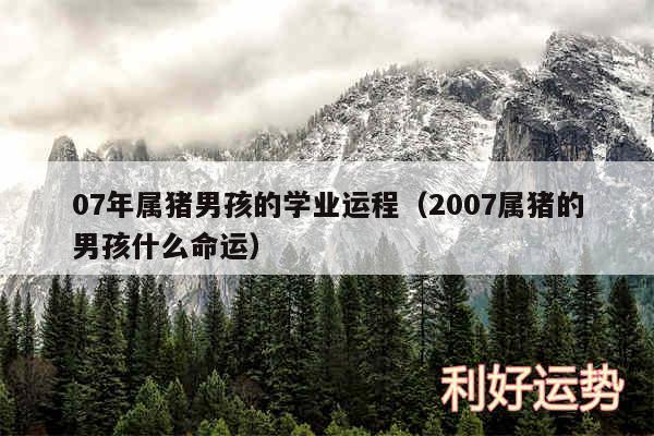 07年属猪男孩的学业运程以及2007属猪的男孩什么命运