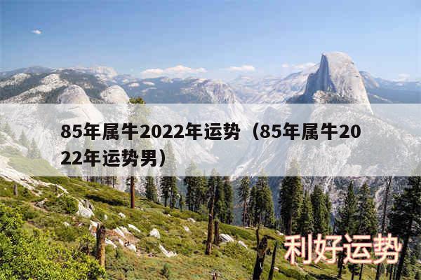 85年属牛2024年运势以及85年属牛2024年运势男