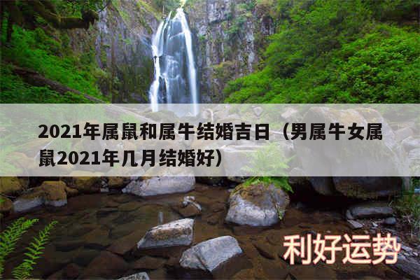 2024年属鼠和属牛结婚吉日以及男属牛女属鼠2024年几月结婚好