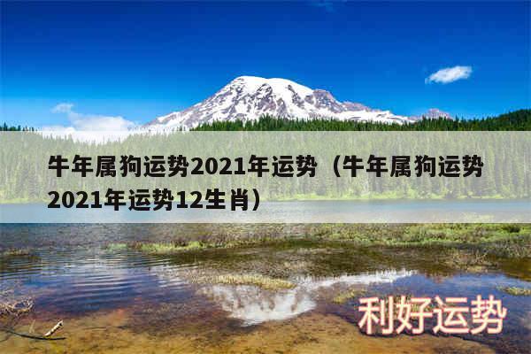 牛年属狗运势2024年运势以及牛年属狗运势2024年运势12生肖