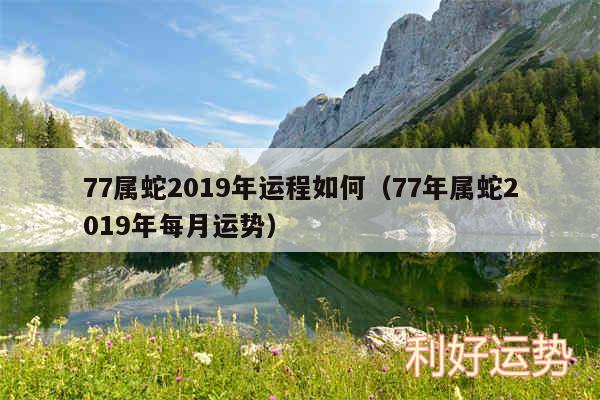 77属蛇2019年运程如何以及77年属蛇2019年每月运势