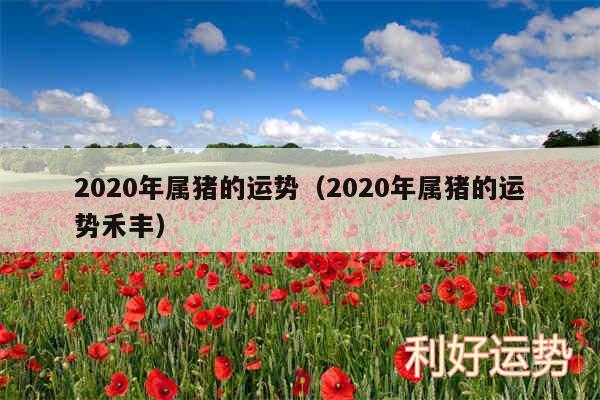 2020年属猪的运势以及2020年属猪的运势禾丰