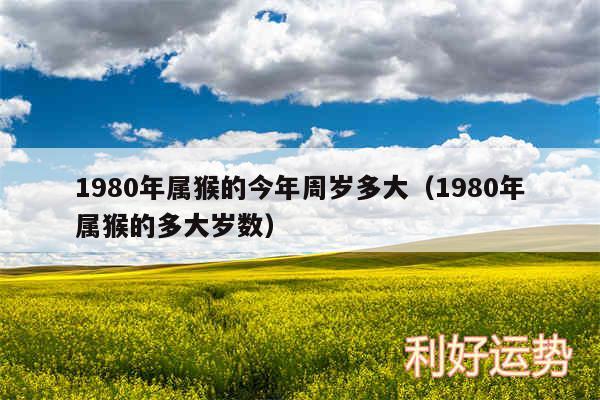 1980年属猴的今年周岁多大以及1980年属猴的多大岁数