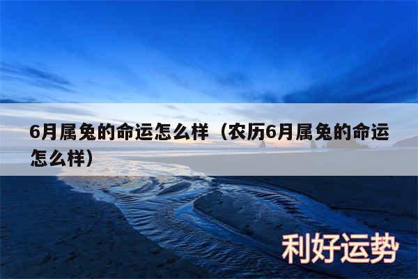 6月属兔的命运怎么样以及农历6月属兔的命运怎么样