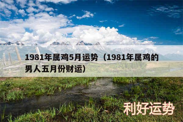 1981年属鸡5月运势以及1981年属鸡的男人五月份财运