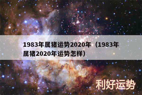 1983年属猪运势2020年以及1983年属猪2020年运势怎样