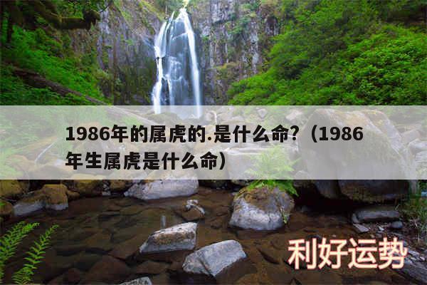 1986年的属虎的.是什么命?以及1986年生属虎是什么命