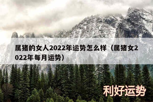 属猪的女人2024年运势怎么样以及属猪女2024年每月运势