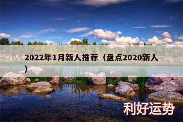 2024年1月新人推荐以及盘点2020新人