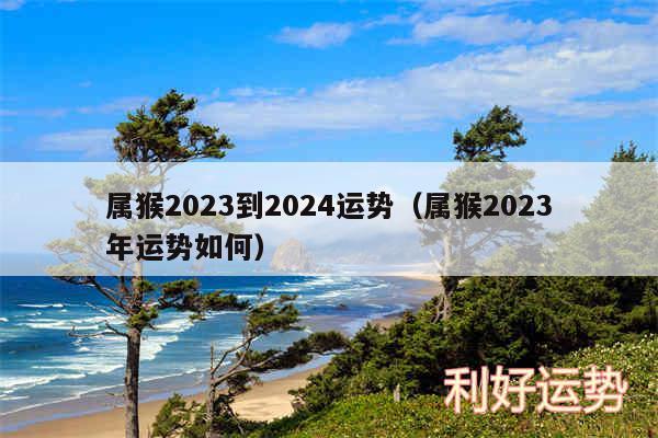 属猴2024到2024运势以及属猴2024年运势如何