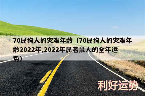 70属狗人的灾难年龄以及70属狗人的灾难年龄2024年,2024年属老鼠人的全年运势