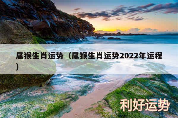 属猴生肖运势以及属猴生肖运势2024年运程