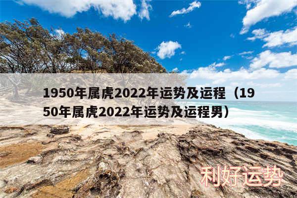 1950年属虎2024年运势及运程以及1950年属虎2024年运势及运程男