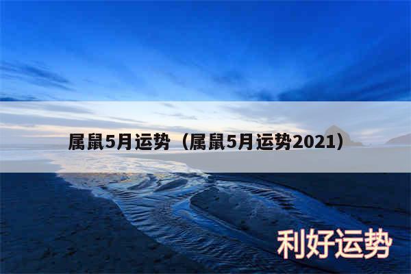 属鼠5月运势以及属鼠5月运势2024