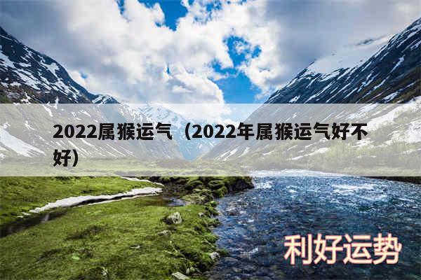 2024属猴运气以及2024年属猴运气好不好