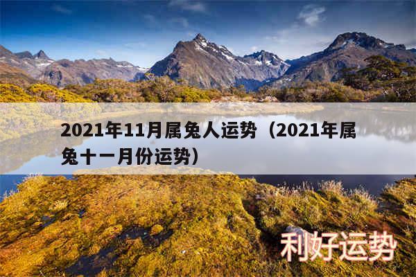 2024年11月属兔人运势以及2024年属兔十一月份运势