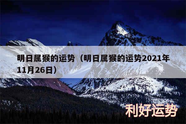 明日属猴的运势以及明日属猴的运势2024年11月26日