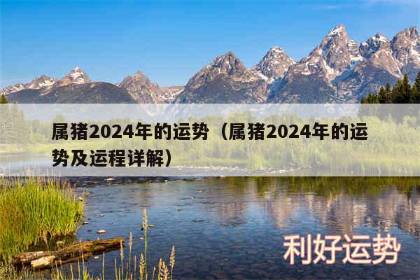 属猪2024年的运势以及属猪2024年的运势及运程详解