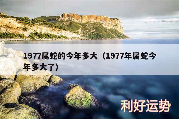 1977属蛇的今年多大以及1977年属蛇今年多大了