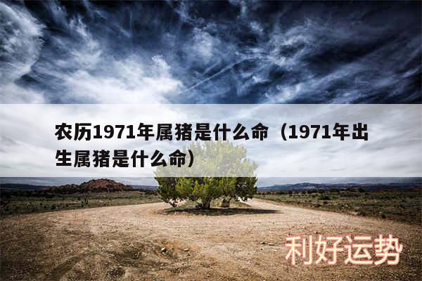 农历1971年属猪是什么命以及1971年出生属猪是什么命