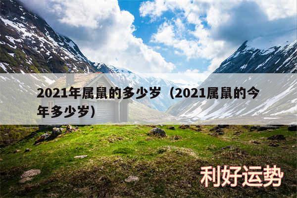 2024年属鼠的多少岁以及2024属鼠的今年多少岁