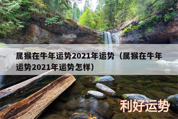 属猴在牛年运势2024年运势以及属猴在牛年运势2024年运势怎样