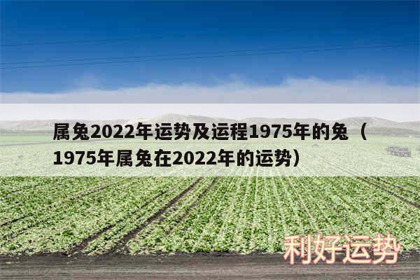 属兔2024年运势及运程1975年的兔以及1975年属兔在2024年的运势