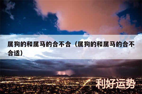 属狗的和属马的合不合以及属狗的和属马的合不合适