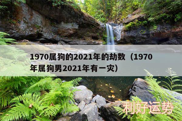 1970属狗的2024年的劫数以及1970年属狗男2024年有一灾