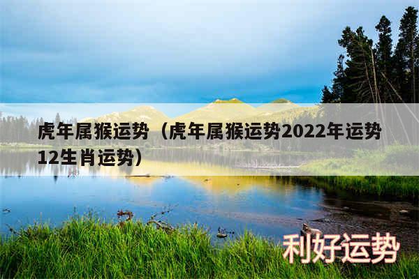 虎年属猴运势以及虎年属猴运势2024年运势12生肖运势