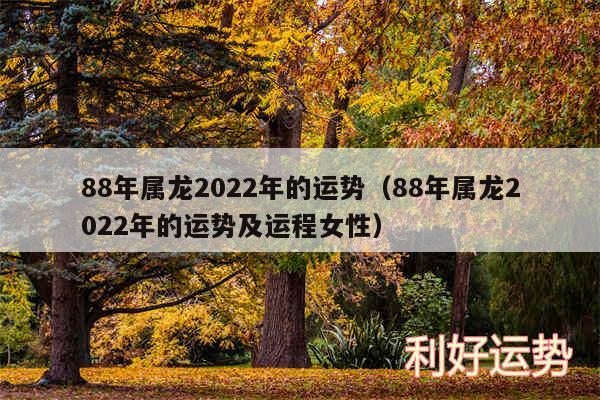 88年属龙2024年的运势以及88年属龙2024年的运势及运程女性