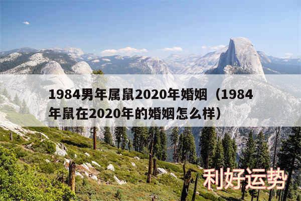 1984男年属鼠2020年婚姻以及1984年鼠在2020年的婚姻怎么样