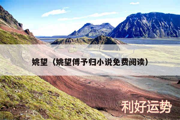 姚望以及姚望傅予归小说免费阅读