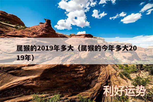 属猴的2019年多大以及属猴的今年多大2019年