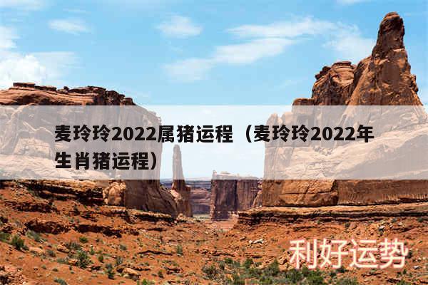 麦玲玲2024属猪运程以及麦玲玲2024年生肖猪运程