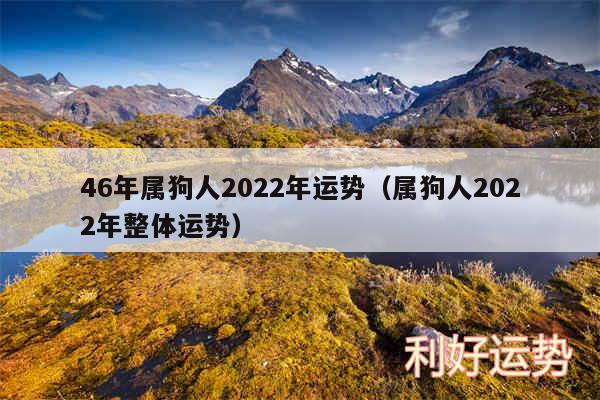 46年属狗人2024年运势以及属狗人2024年整体运势