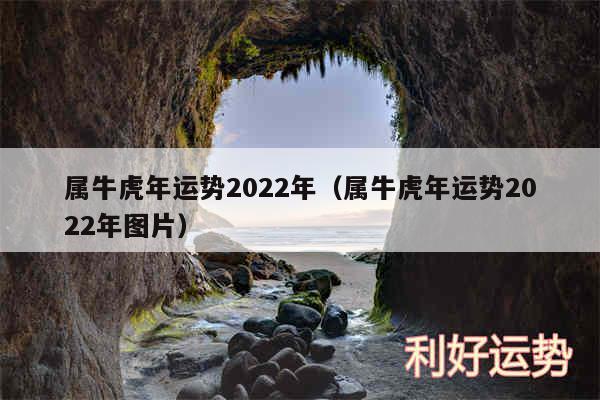 属牛虎年运势2024年以及属牛虎年运势2024年图片