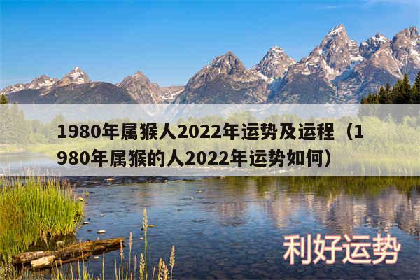 1980年属猴人2024年运势及运程以及1980年属猴的人2024年运势如何