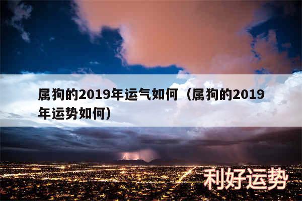 属狗的2019年运气如何以及属狗的2019年运势如何