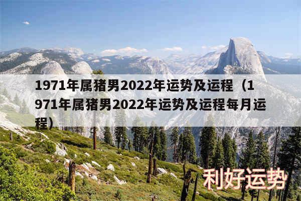 1971年属猪男2024年运势及运程以及1971年属猪男2024年运势及运程每月运程