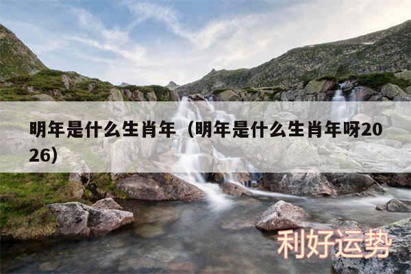 明年是什么生肖年以及明年是什么生肖年呀2026