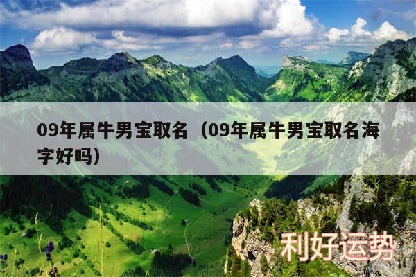 09年属牛男宝取名以及09年属牛男宝取名海字好吗