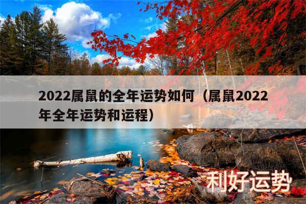 2024属鼠的全年运势如何以及属鼠2024年全年运势和运程