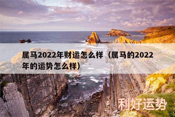 属马2024年财运怎么样以及属马的2024年的运势怎么样