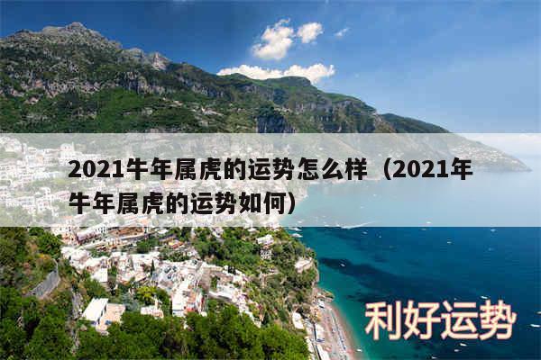 2024牛年属虎的运势怎么样以及2024年牛年属虎的运势如何